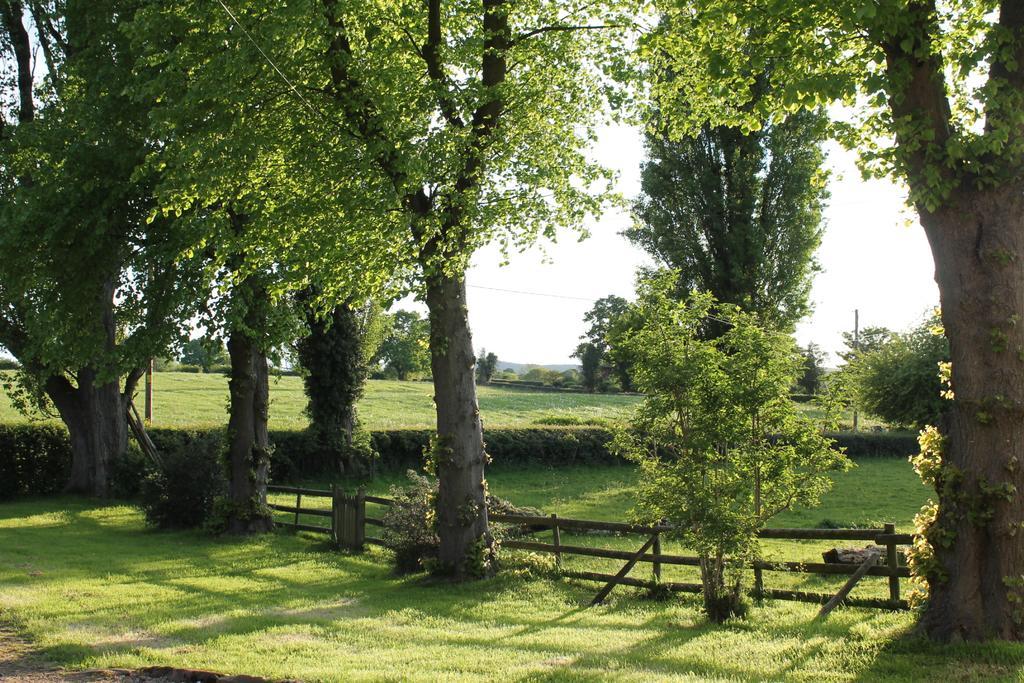 The Jockey Room Hideaway Spurstow Zewnętrze zdjęcie